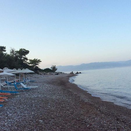 Petalidi Fragkos Apartment Екстериор снимка