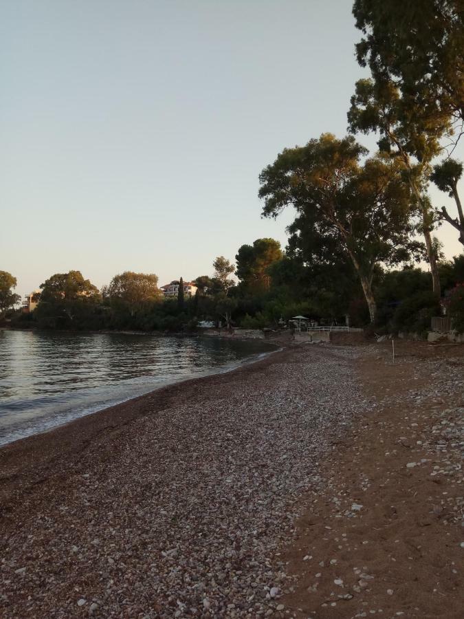 Petalidi Fragkos Apartment Екстериор снимка